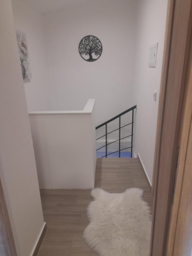 Apartman Damir Bibinje Dış mekan fotoğraf