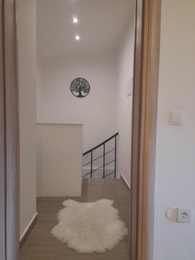 Apartman Damir Bibinje Dış mekan fotoğraf