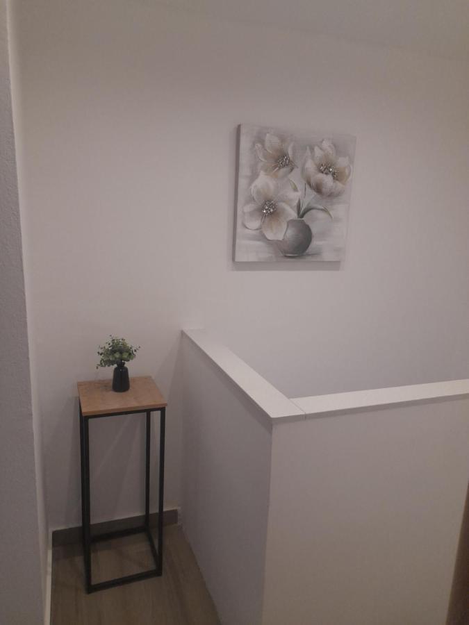 Apartman Damir Bibinje Dış mekan fotoğraf